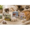 Boîtes à histoires parfumées  fleur de coton Collection "CHAT"
