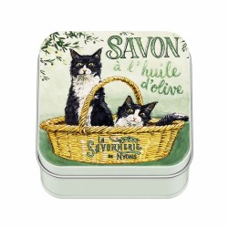 Boîtes à histoires parfumées  fleur de coton Collection "CHAT"